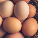 Why Eating Eggs Daily Can Be Good for Your Health