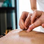 Integrative Medicine: Ayurveda, Acupuncture, and Herbal Wellness