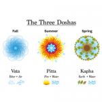 Dosha-Based Diets: Balancing Vata, Pitta, and Kapha for Seasonal Health