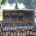 Travel to Kanha Kisli National Park: Where the Jungle Tells Its Own Story