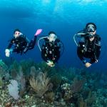 Best Places for Scuba Diving: Explore the sWorld Beneath the Waves
