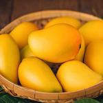 Mango Magic: A Simple and Delicious Recipe to Celebrate Summer