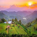 Discovering the Pearl of Africa: Uganda,s Must-See Destinations