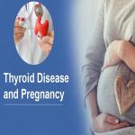 Healthy Pregnancy with Thyroid: A Guide for Moms-to-Be