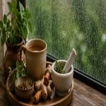 Ayurvedic Tips for Staying Healthy in Rainy Season