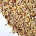 The Health Benefits of Having Multigrain: A Smart Step Toward Better Nutrition