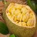 Health Benefits of Jackfruit: A Nutritional Powerhouse from Nature