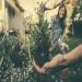 Astrology and the Meaning of Watching Plants in Dreams