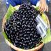 Health Benefits of Jamun Fruit