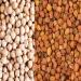 Health Benefit of Kabuli Chana for Your Diet