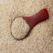 Health Benefits of Isabgol for Your Overall Well-being