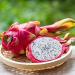 Unseen Benefits of Adding Dragon Fruit to Your Diet Chart