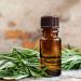 Rosemary and Its Benefits for Your Hair and Skin