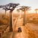 Travel to Madagascar: A Wild, Beautiful Escape Like No Other