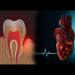 The Surprising Link Between Oral Health and Heart Health
