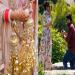 Punjab: The Significance of Kaleeras in Modern Weddings