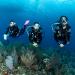 Best Places for Scuba Diving: Explore the sWorld Beneath the Waves