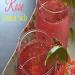 Rose Nimbu Soda: The Perfect Summer Cooler with a Floral Twist