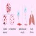 Understanding Single-Gene Disorders: How One Gene Mutation Can Affect Health