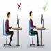Physical Ergonomics: Preventing Musculoskeletal Injuries Through Proper Lifting, Posture, and Workstation Setup
