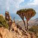 Socotra Island, Yemen: Exploring One of the Most Alien-Looking Places on Earth