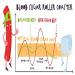 Glucose Spike Management: Simple Food Habits to Prevent Energy Crashes After Meals