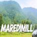 Maredumilli, Andhra Pradesh: The Eastern Ghats Best-Kept Secret