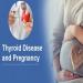 Healthy Pregnancy with Thyroid: A Guide for Moms-to-Be