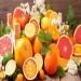 Winter Warmth: Citrus Fruits