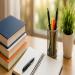 Government Jobs in India: Building a Career With Stability and Purpose
