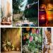 Eco-Friendly Décor Ideas for a Greener Home