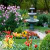 How to Prepare Your Garden for Summer