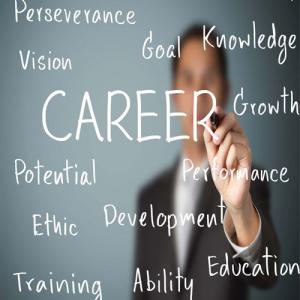 Career advice for freshers and how to get success