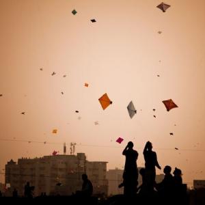 The celebrated enthusiast in the pink city during Makar Sankranti