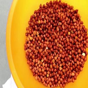 Health Benefits of Kala Chana in Morning Breakfast