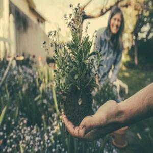 Astrology and the Meaning of Watching Plants in Dreams
