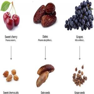 Health Benefits of Seed Fruits: Nature,s Tiny Powerhouses