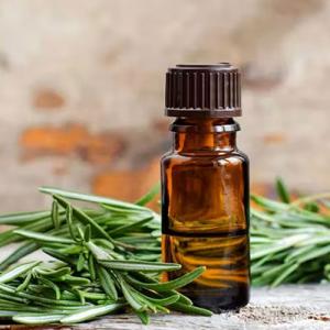 Rosemary and Its Benefits for Your Hair and Skin