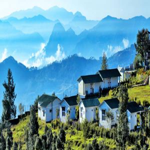 Chaukori, Uttarakhand: Tea Estates with a 300 km Himalayan Panorama