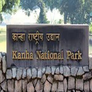 Travel to Kanha Kisli National Park: Where the Jungle Tells Its Own Story