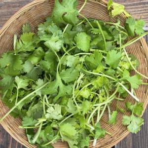 Coriander: The Underrated Leaf with Powerful Health Benefits