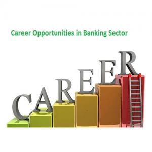 Bank Jobs as a Career: Stability, Growth and Respect in One Path