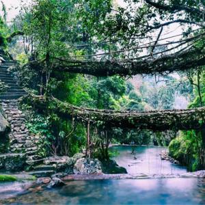 A Trip to Cherrapunji Misty Hills, Living Roots and Endless Rain