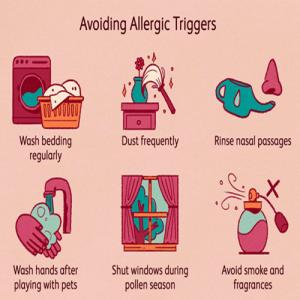 Coping with Air Quality Issues and Reducing Allergy Triggers