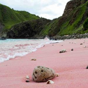 Pink Sand Beach, Bahamas: A Dreamy Escape to Nature,s Most Beautiful Shoreline