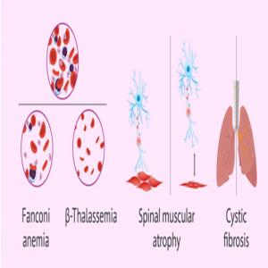 Understanding Single-Gene Disorders: How One Gene Mutation Can Affect Health