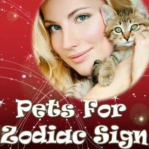Pet according to your Sun Sign
